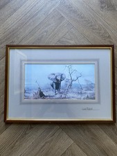 David Shepherd Signed Elephant