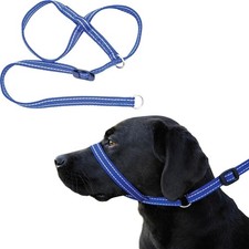 Small Size Anti Pull Dog