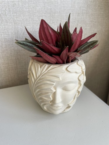White botanical face design - face,