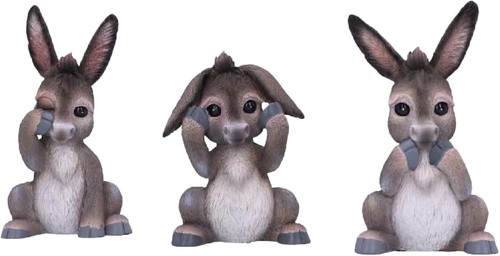 Wise donkey pack - donkey,