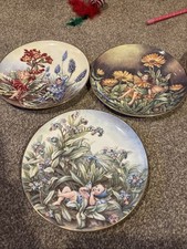 BORDER FINE ARTS   CICELY MARY