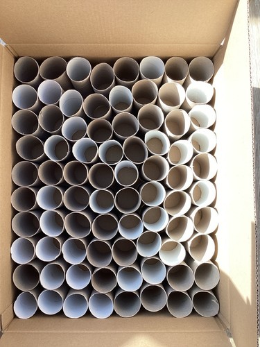Cardboard toilet roll tubes - cardboard,