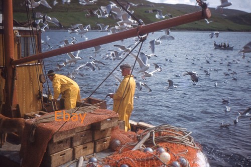 35mm slide fishermen at work - 35mm,