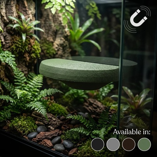 Magnetic medium gecko - medium, resting