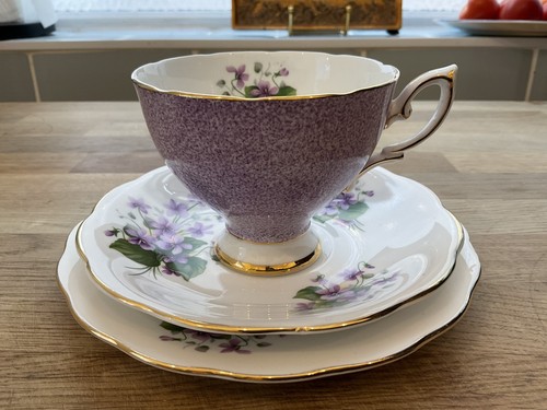 Royal standard harlequin - standard,