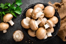 2 x Seeds Mushroom Brown