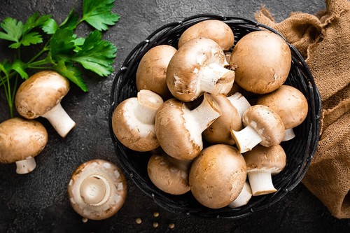 Seeds mushroom brown - x,