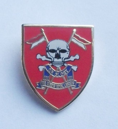 Queens royal lancers lapel - lancers,