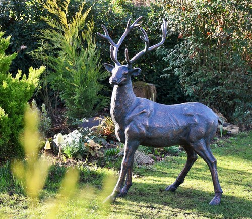Standing stag life - stag,