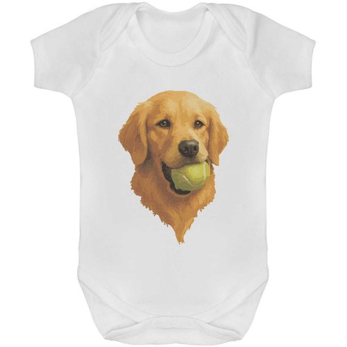 Golden retriever ball baby - retriever,