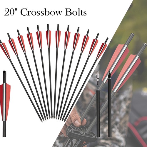 12x carbon bolts - bolts, arrows
