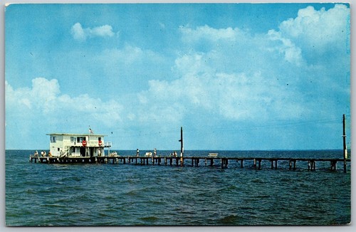 Vtg florida fishing - vtg, fl