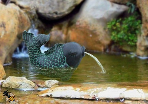 Pond spitter fish water - pond,