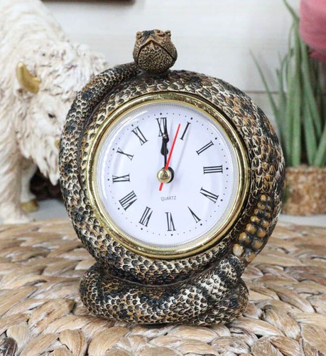 Reptile coiled diamondback - reptile,