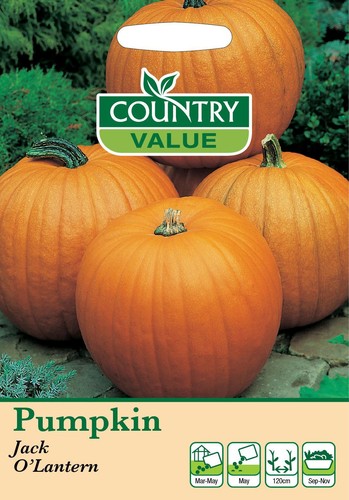 Pumpkin seeds jack lantern - pumpkin,