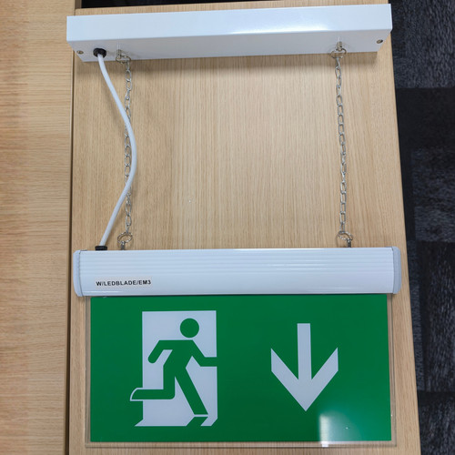 Emergency exit light suspended - light,