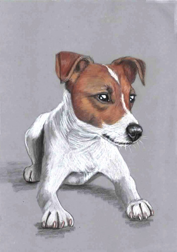 Original colour pencil artwork