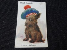 artist Signed AA Comic Scotch Dog from Peebles Postcard - 107320