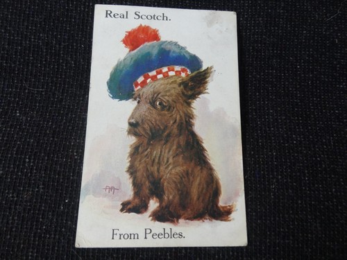 Artist signed comic scotch - signed,