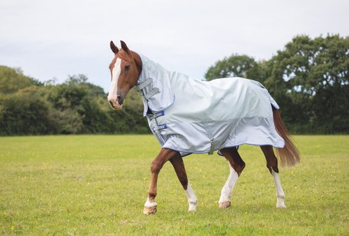 Shires tempest original - shires,