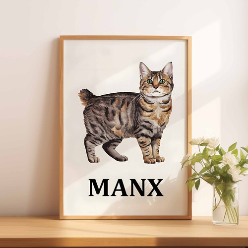 Manx cat illustration - a4, a5