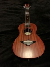 Ukulele Electric. Tried once