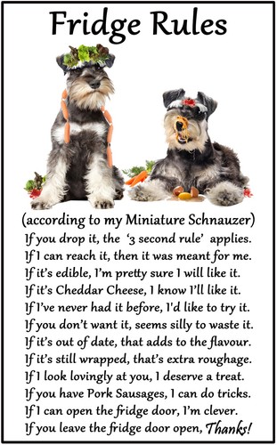 Miniature schnauzer dog gift - schnauzer,