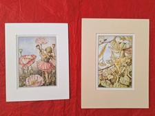 Flower Fairies Vintage Prints