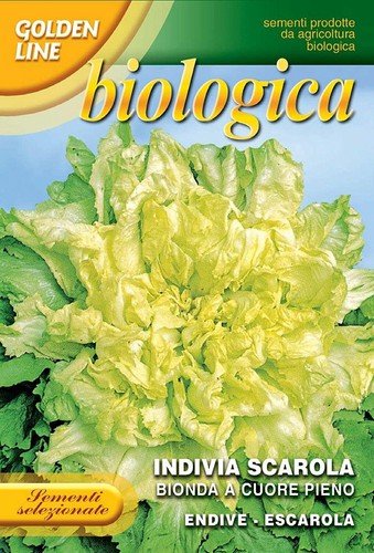 Franchi seeds organic - organic, endive