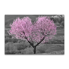 Black & White Pink Blossom