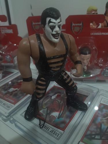 Wwe wwf hasbro - wwf,