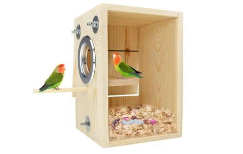 Bird nest breeding box mating - bird,
