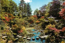 Picture Postcard>>Compton Acres, Poole, Japanese Garden, Stepping Stones