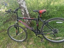 Mens Medium Mountain Bike