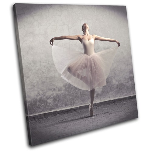 Ballerina ballet dancer - ballerina,