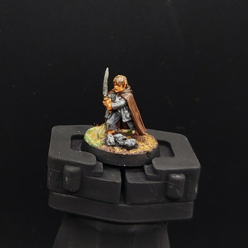 Pro painted warhammer lotr - pro,