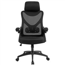 Ergonomic Home Office Chair