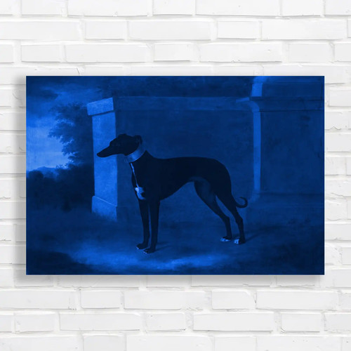 Elegant greyhound blue canvas - elegant,