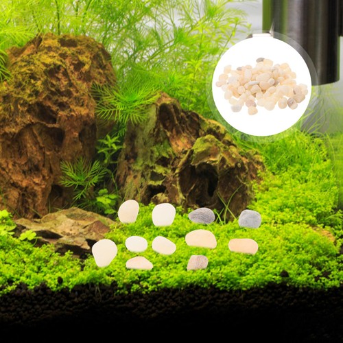 Aquarium substrate small - substrate,