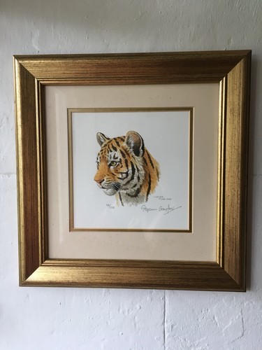 Stephen gayford framed - stephen, indian