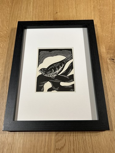 Nightjar framed woodcut - framed,