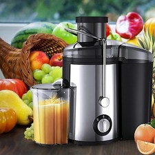 Fruit 800W Juicer Machine