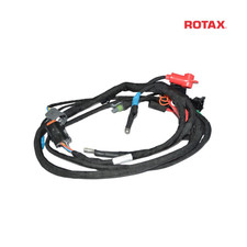Rotax EVO Wiring Harness