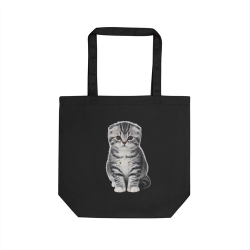 Adorable scottish fold - adorable,