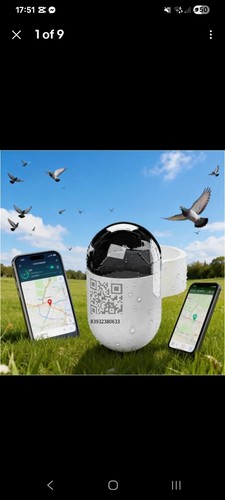 Live real time - x,