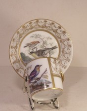 Dresden 19th Century Hand Painted Birds Cabinet Cup And Saucer