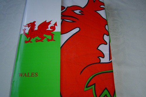 Wales welsh dragon duvet - welsh,
