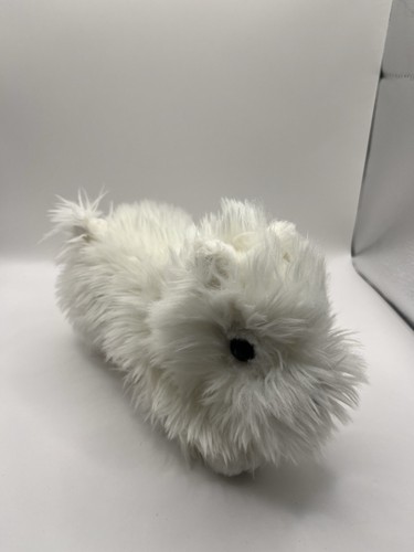 Wizard white fluffy - of, dog