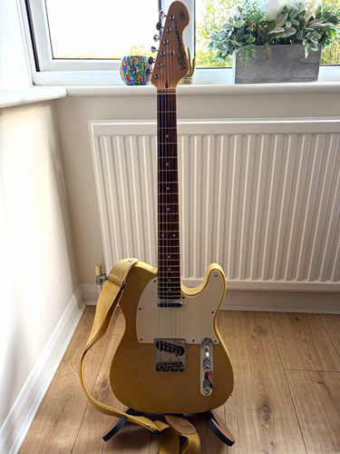 Vintage v62 reissued series - vintage,