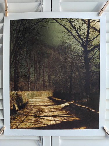 Moonlit lane with - a,